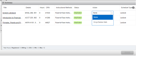 Drop/Delete Web Dropdown Menu Screenshot showing the option to Drop/Delete Web in Action dropdown menu