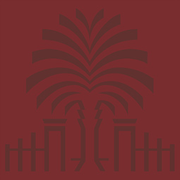 filler image of palmetto tree
